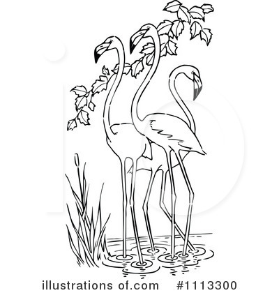 Royalty-Free (RF) Flamingo Clipart Illustration by Prawny Vintage - Stock Sample #1113300