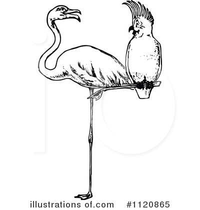 Flamingo Clipart #1120865 by Prawny Vintage