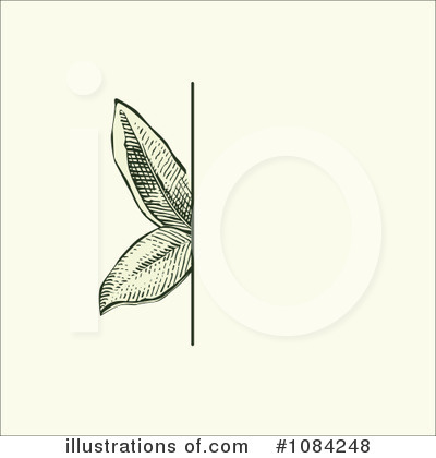 Botany Clipart #1084248 by BestVector