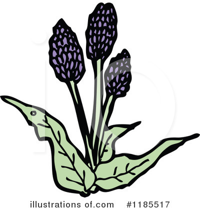 Royalty-Free (RF) Flower Clipart Illustration by lineartestpilot - Stock Sample #1185517