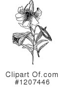 Flower Clipart #1207446 by Prawny Vintage