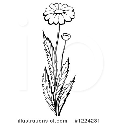 Royalty-Free (RF) Flower Clipart Illustration by Picsburg - Stock Sample #1224231