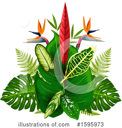 Bird Of Paradise Clipart #1595973 by Vector Tradition SM