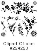 Flowers Clipart #224223 by BestVector