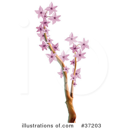 Blossoms Clipart #37203 by dero