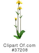 Flowers Clipart #37208 by dero