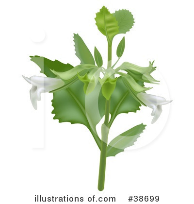 Royalty-Free (RF) Flowers Clipart Illustration by dero - Stock Sample #38699