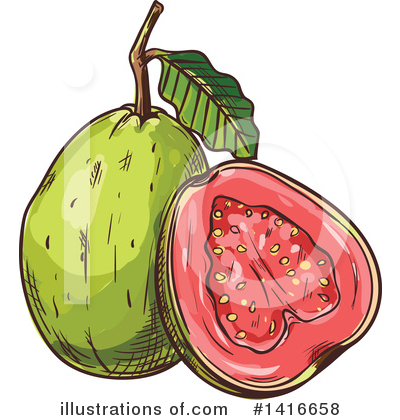 Guava Clipart #1416658 by Vector Tradition SM