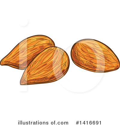 Almond Clipart #1416691 by Vector Tradition SM