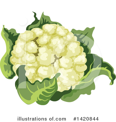 Cauliflower Clipart #1420844 by Vector Tradition SM