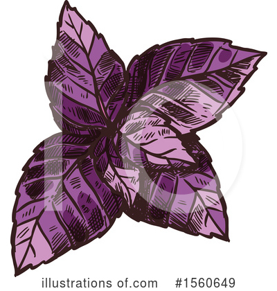 Basil Clipart #1560649 by Vector Tradition SM