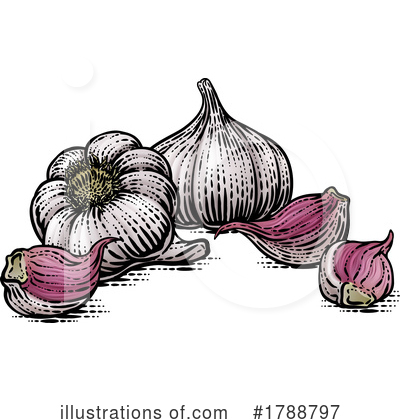 Garlic Clipart #1788797 by AtStockIllustration
