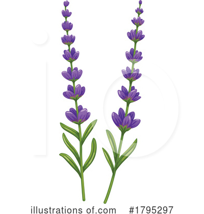 Lavender Clipart #1795297 by Vector Tradition SM