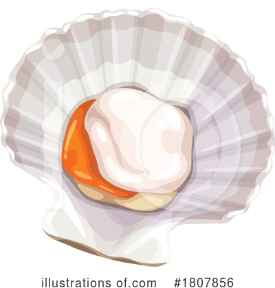 Scallops Clipart #1807856 by Vector Tradition SM