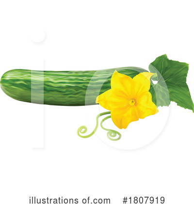 Cucumber Clipart #1807919 by Vector Tradition SM