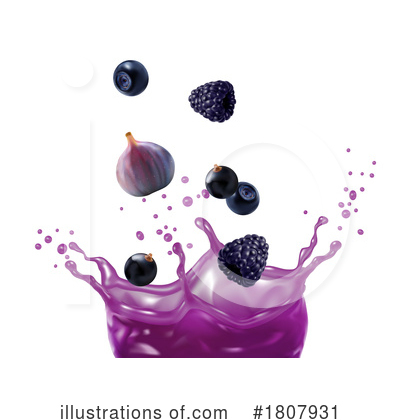 Blueberry Clipart #1807931 by Vector Tradition SM