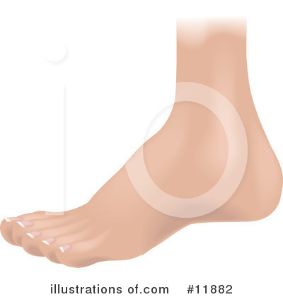 Foot Clipart #11882 by AtStockIllustration