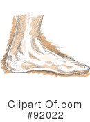 Foot Clipart #92022 by patrimonio
