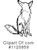 Fox Clipart #1120859 by Prawny Vintage