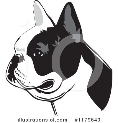 Boston Terrier Clipart #1179640 by David Rey