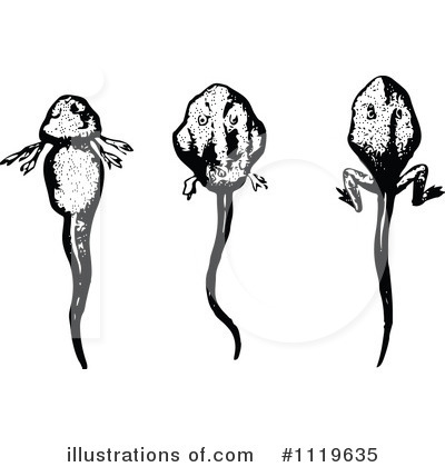 Royalty-Free (RF) Frog Clipart Illustration by Prawny Vintage - Stock Sample #1119635