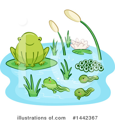 Royalty-Free (RF) Frog Clipart Illustration by BNP Design Studio - Stock Sample #1442367