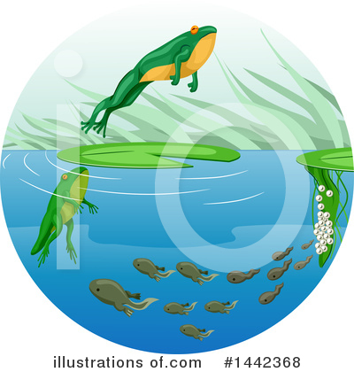 Frogs Clipart #1442368 by BNP Design Studio