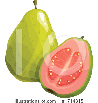 Guava Clipart #1714815 by Vector Tradition SM