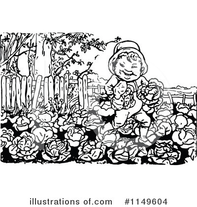 Cabbage Clipart #1149604 by Prawny Vintage