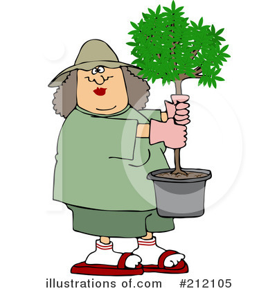 Potted Tree Clipart #212105 by djart
