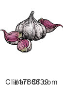 Garlic Clipart #1788839 by AtStockIllustration