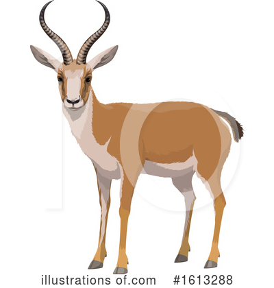 Gazelle Clipart #1613288 by Vector Tradition SM