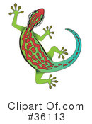 Gecko Clipart #36113 by Frog974