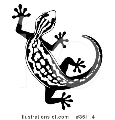 Royalty-Free (RF) Gecko Clipart Illustration by Frog974 - Stock Sample #36114