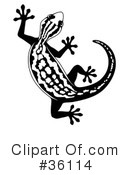 Gecko Clipart #36114 by Frog974