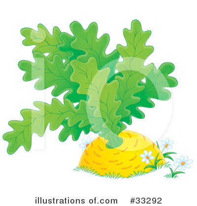 Royalty-Free (RF) Giant Turnip Clipart Illustration by Alex Bannykh - Stock Sample #33292