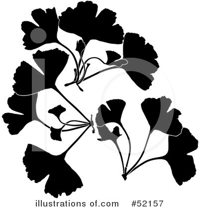 Floral Elements Clipart #52157 by dero