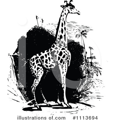Giraffe Clipart #1113694 by Prawny Vintage