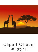 Giraffe Clipart #18571 by Rasmussen Images