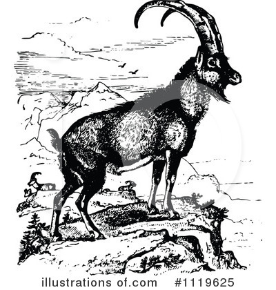 Goat Clipart #1119625 by Prawny Vintage