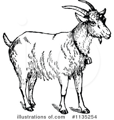 Royalty-Free (RF) Goat Clipart Illustration by Prawny Vintage - Stock Sample #1135254