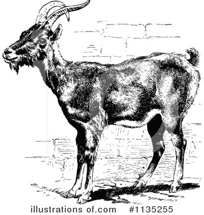 Royalty-Free (RF) Goat Clipart Illustration by Prawny Vintage - Stock Sample #1135255