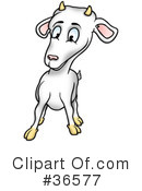 Goat Clipart #36577 by dero