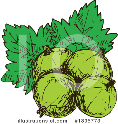 Gooseberry Clipart #1395773 by Vector Tradition SM