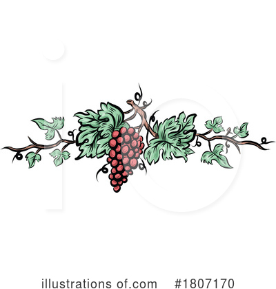Grape Vine Clipart #1807170 by Domenico Condello