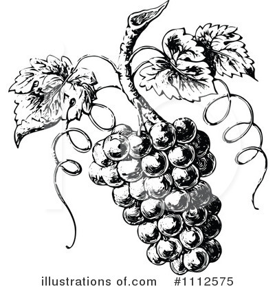 Grape Vine Clipart #1112575 by Prawny Vintage