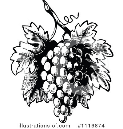 Fruit Clipart #1116874 by Prawny Vintage