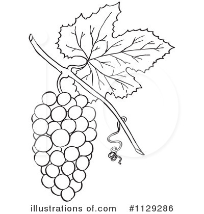 Grape Vine Clipart #1129286 by Picsburg