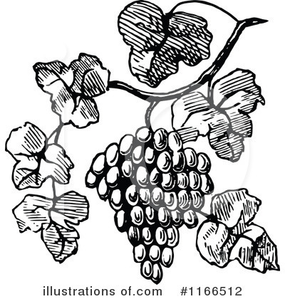 Royalty-Free (RF) Grapes Clipart Illustration by Prawny Vintage - Stock Sample #1166512