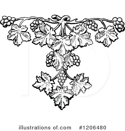 Royalty-Free (RF) Grapes Clipart Illustration by Prawny Vintage - Stock Sample #1206480